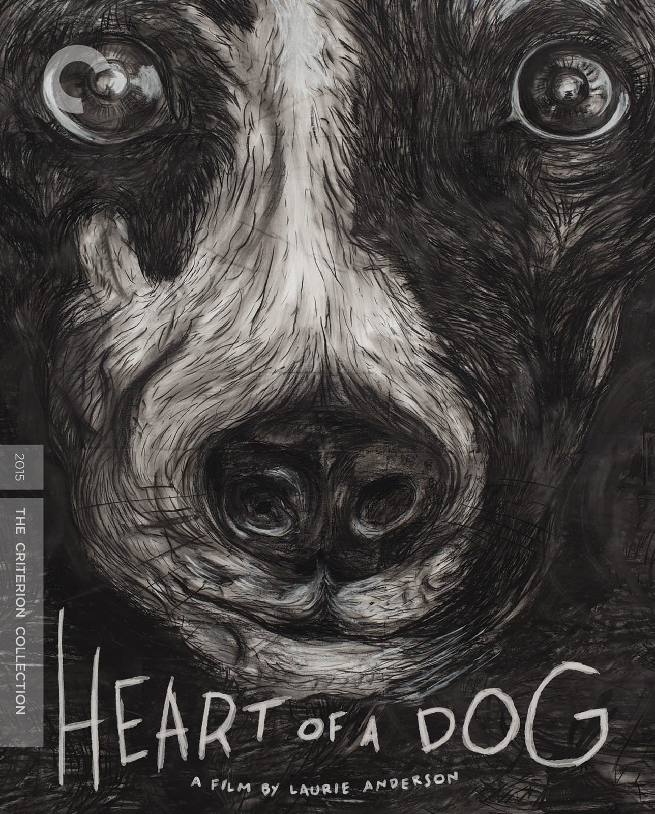 Heart of a Dog (2015) Blu-Ray | Criterion Collection