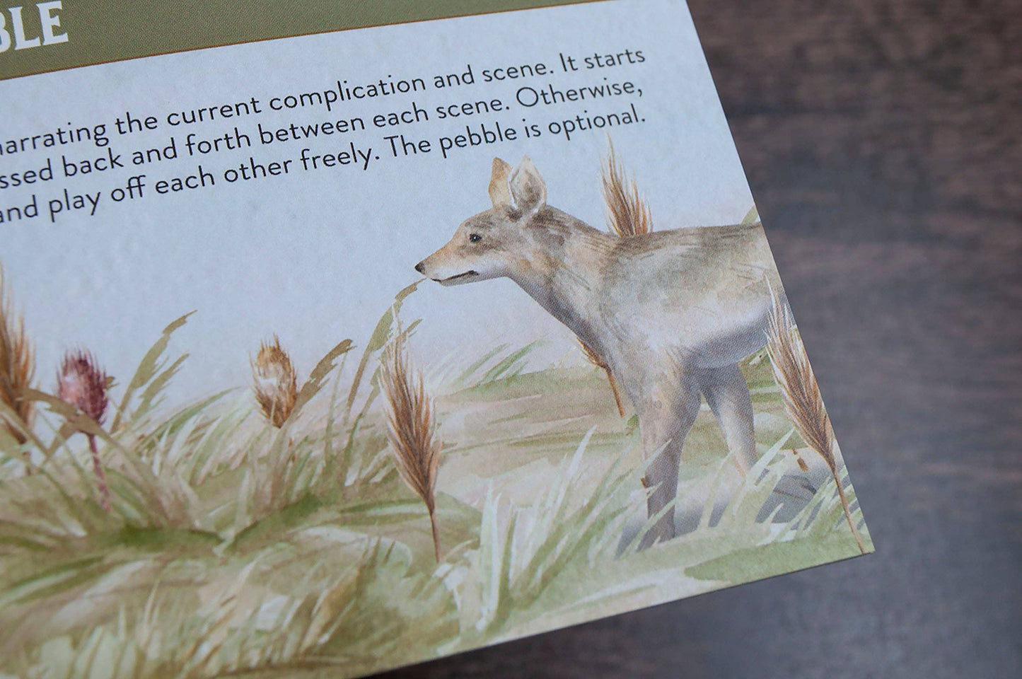Badger + Coyote: A Cozy 2-Player Game